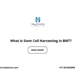 What Is Stem Cell Harvesting in BMT?