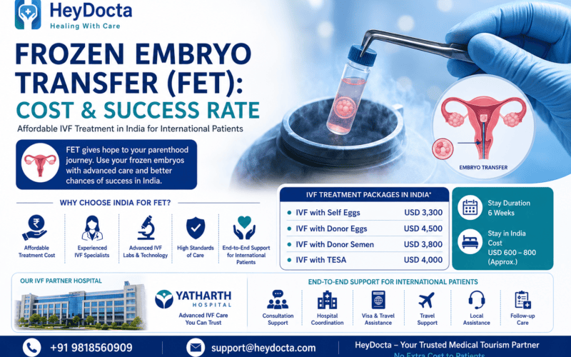 Frozen Embryo Transfer (FET)