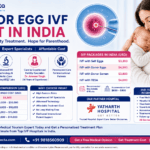 Donor Egg IVF Cost in India