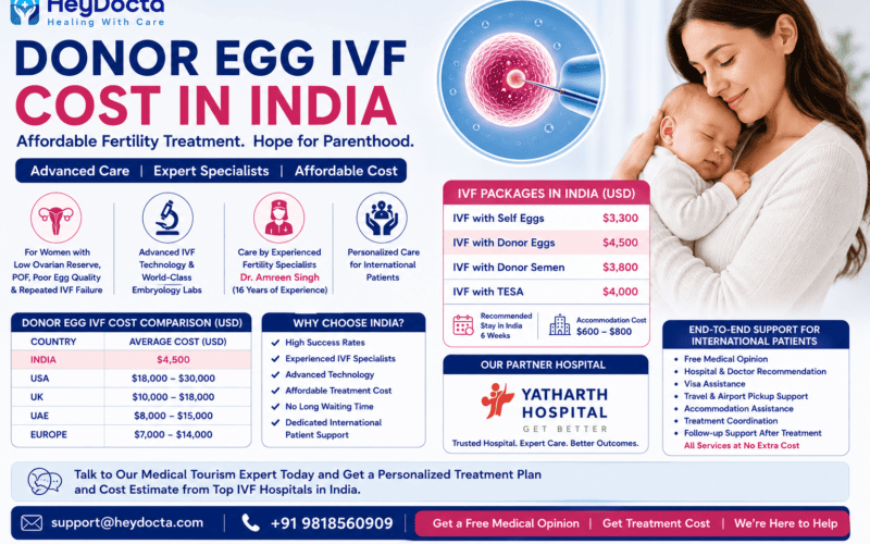 Donor Egg IVF Cost in India